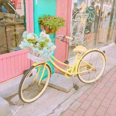 爱游戏ayx体育登录下载手机版